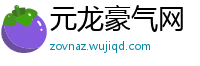 元龙豪气网